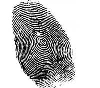 identidad corporativa